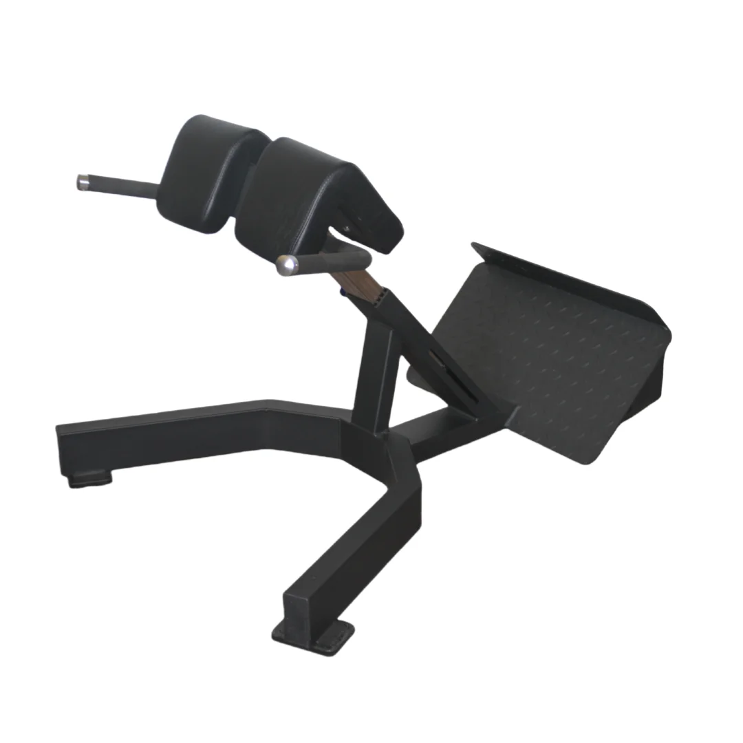 Home Gym Leg Extension - Fabrieks Prijs Romeinse Stoel Rugverlengingsbank Krachttraining