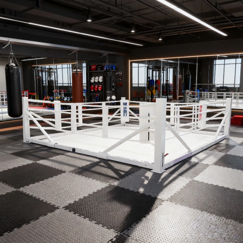 Opvouwbare boksringset, klein, - Home Gym Set recensie en prijs