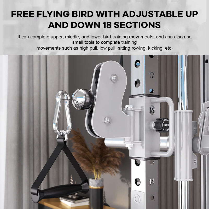 YTYIN Fabrieksleverancier Home - Home Gym Smith recensie en prijs
